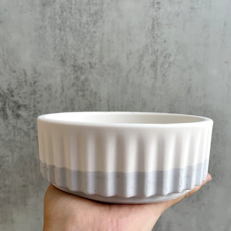 Echeveria Succulent - Stripe Flowerpot Silicone Mold DIY Succulent