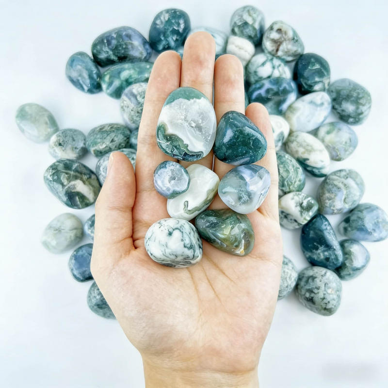 Natural Moss Agate Crushed Sto – Echeveria Succulent recenzja i cena