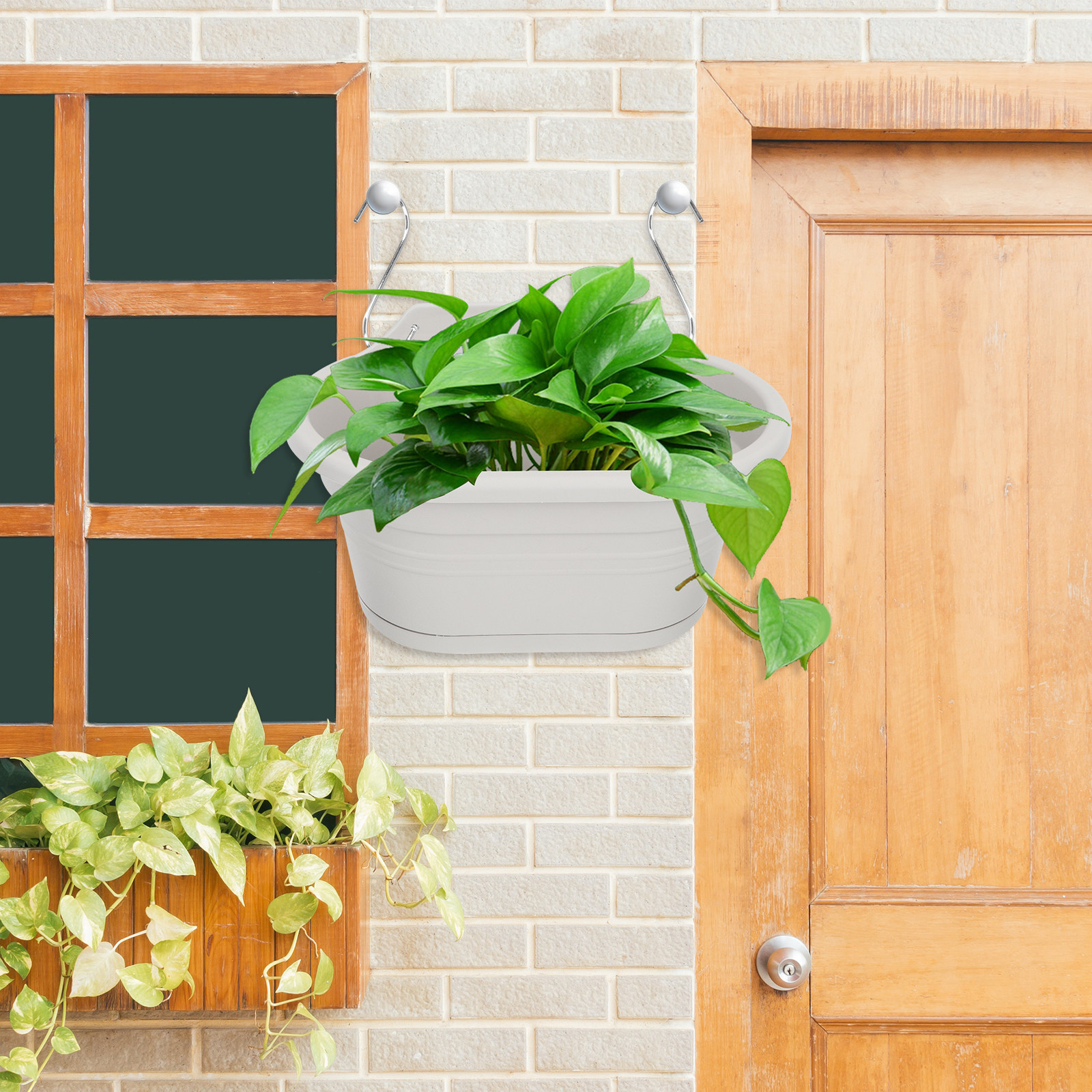 1Set Wall Hanging Flower Pot S – Spider Plant Hanging recenzja i cena