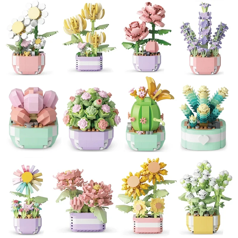 Flower Succulents Building Blo – Echeveria Succulent recenzja i cena