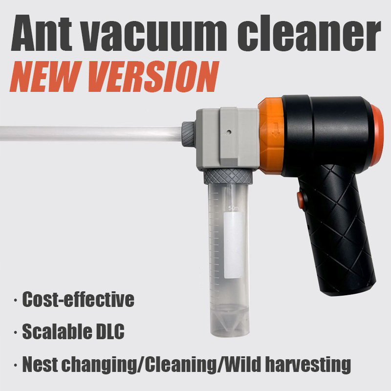 Ant Farm Collection Tool Ants  – Begonia Rex recenzja i cena