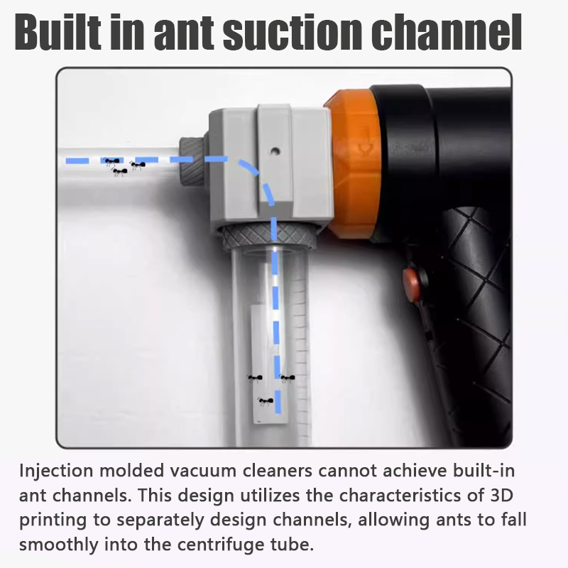 Ant Farm Collection Tool Ants  – Begonia Rex recenzja i cena