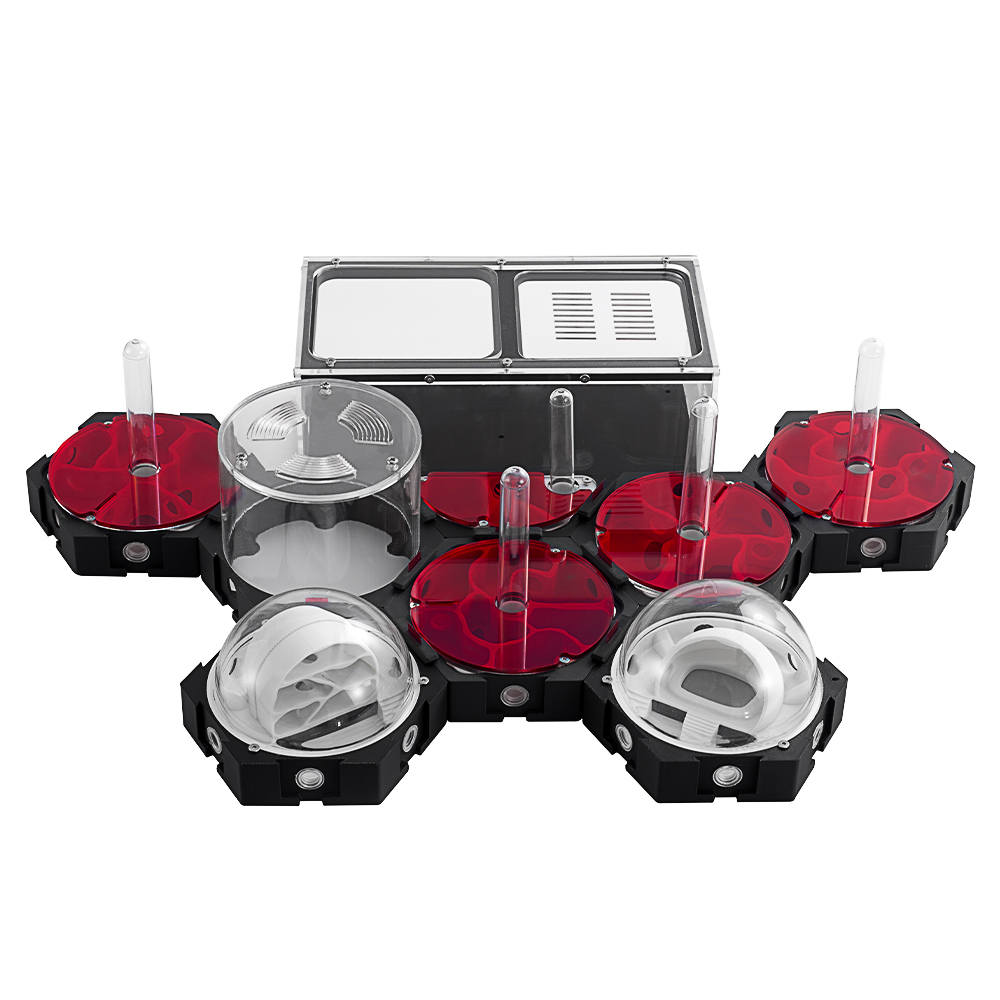 3D Printing Ant Farm Infinitel – Begonia Rex recenzja i cena