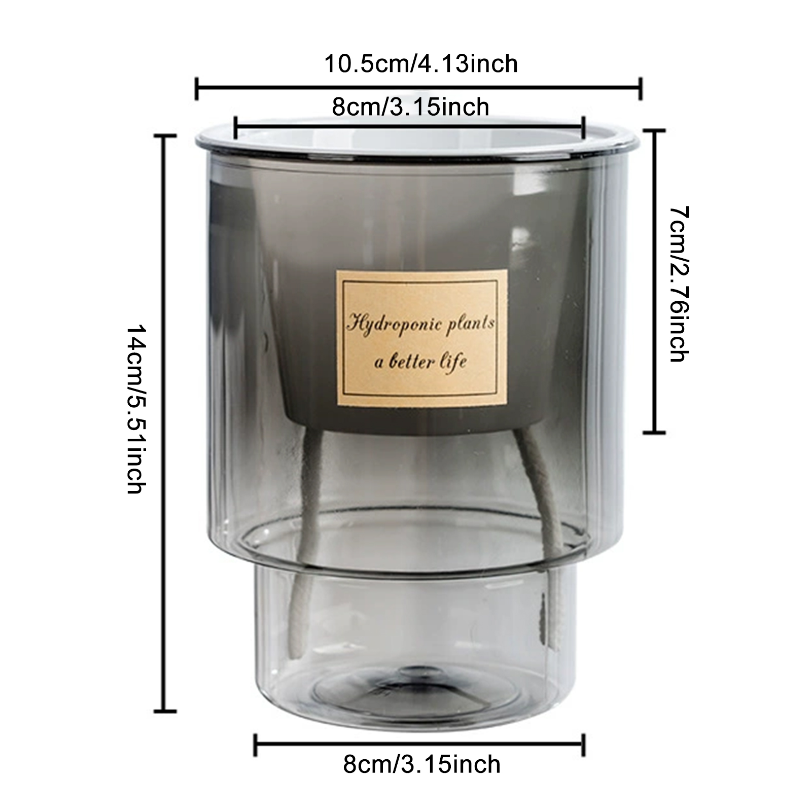Automatic Water-Absorbing Flow – Echeveria Succulent recenzja i cena