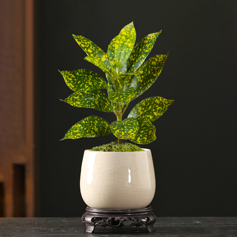 24-41cm Artificial Ficus Tree  – Ficus Lyrata Tree recenzja i cena