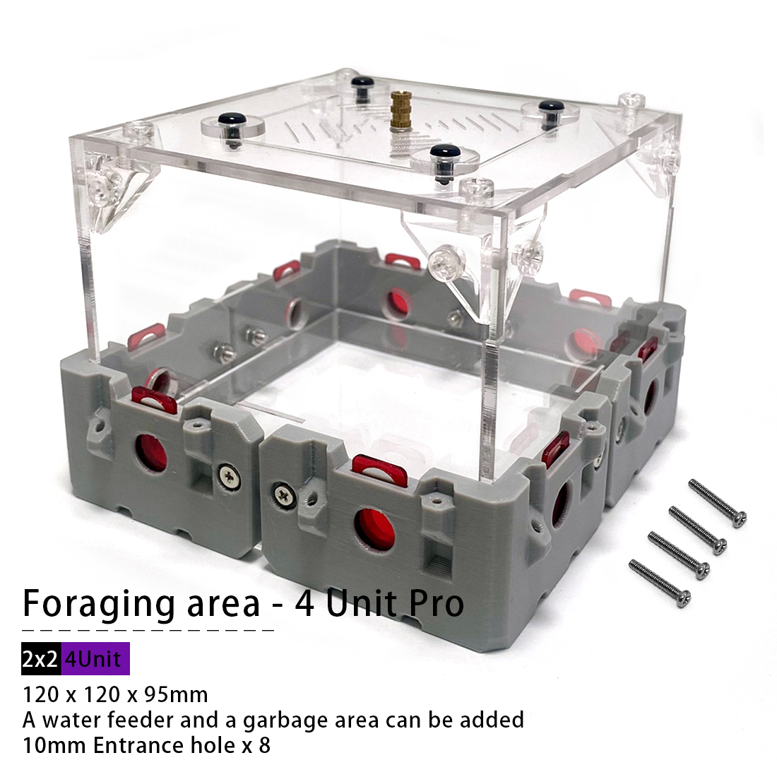 【Lego】Expandable Modular Formi – Begonia Rex recenzja i cena