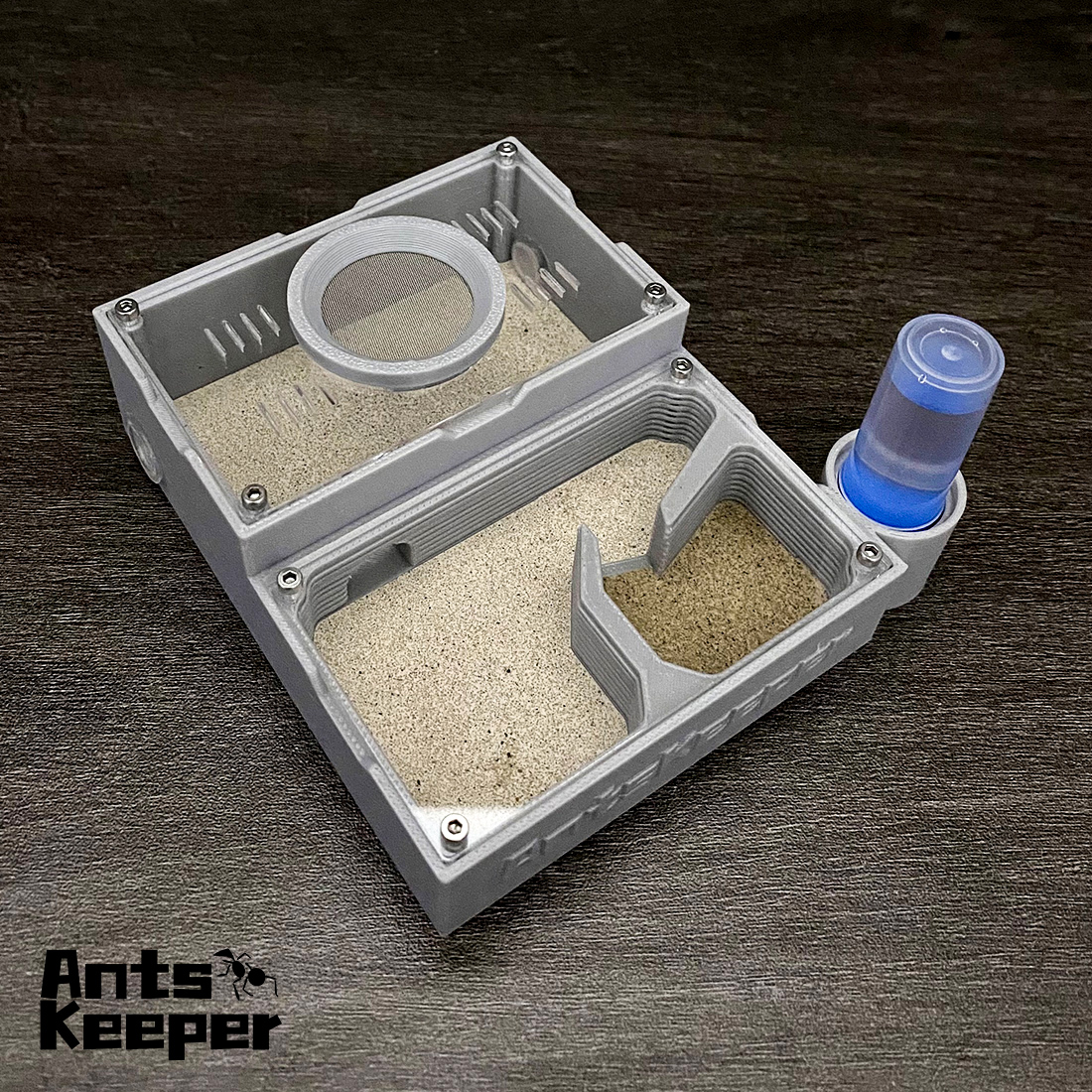 【One Section】Flat Ant Farm for – Begonia Rex recenzja i cena