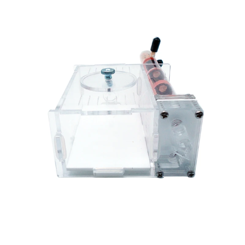 DIY Ant Farm 2 pcs 18-180mm Gy – Begonia Rex recenzja i cena