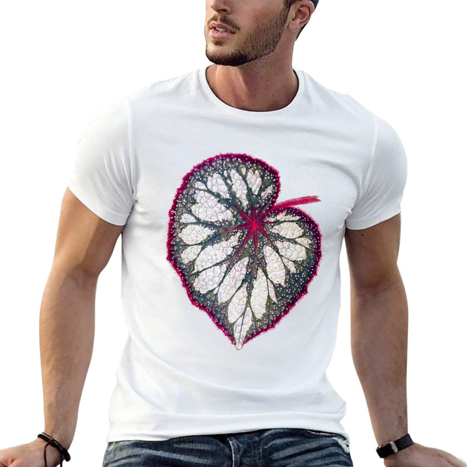 Begonia rex T-Shirt man graphi – Begonia Rex recenzja i cena