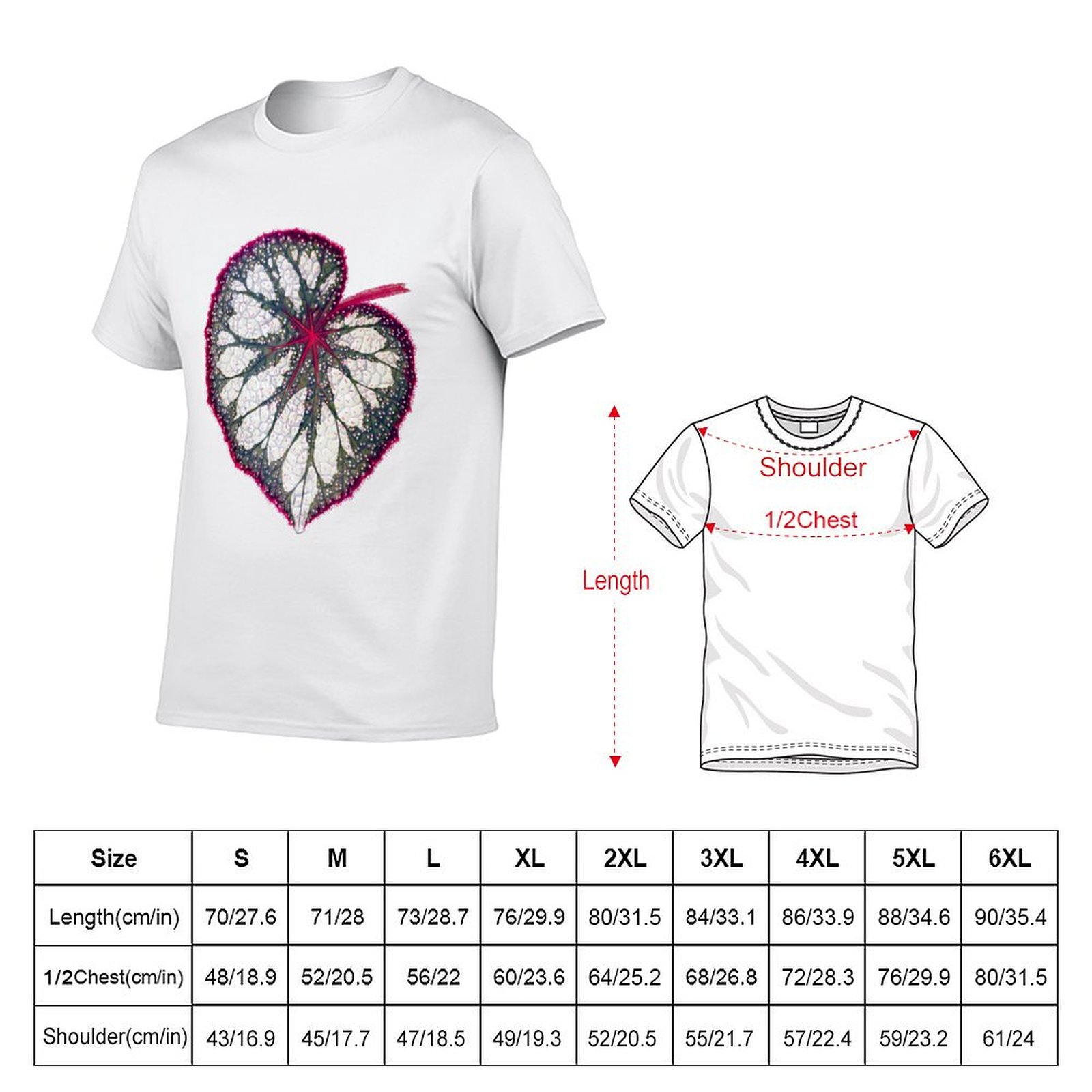 Begonia rex T-Shirt man graphi – Begonia Rex recenzja i cena