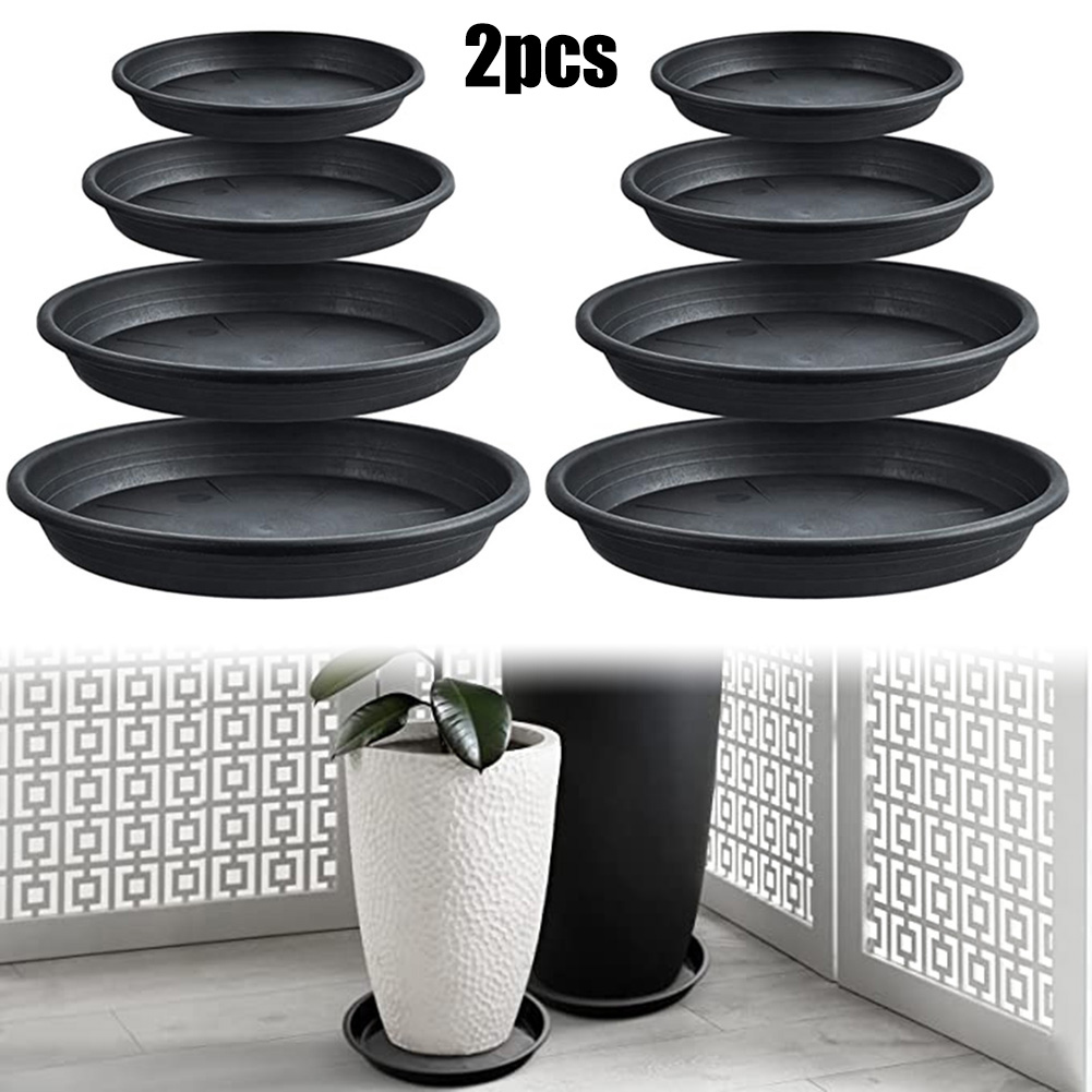 2pcs Plant Trays Round Succule – Echeveria Succulent recenzja i cena