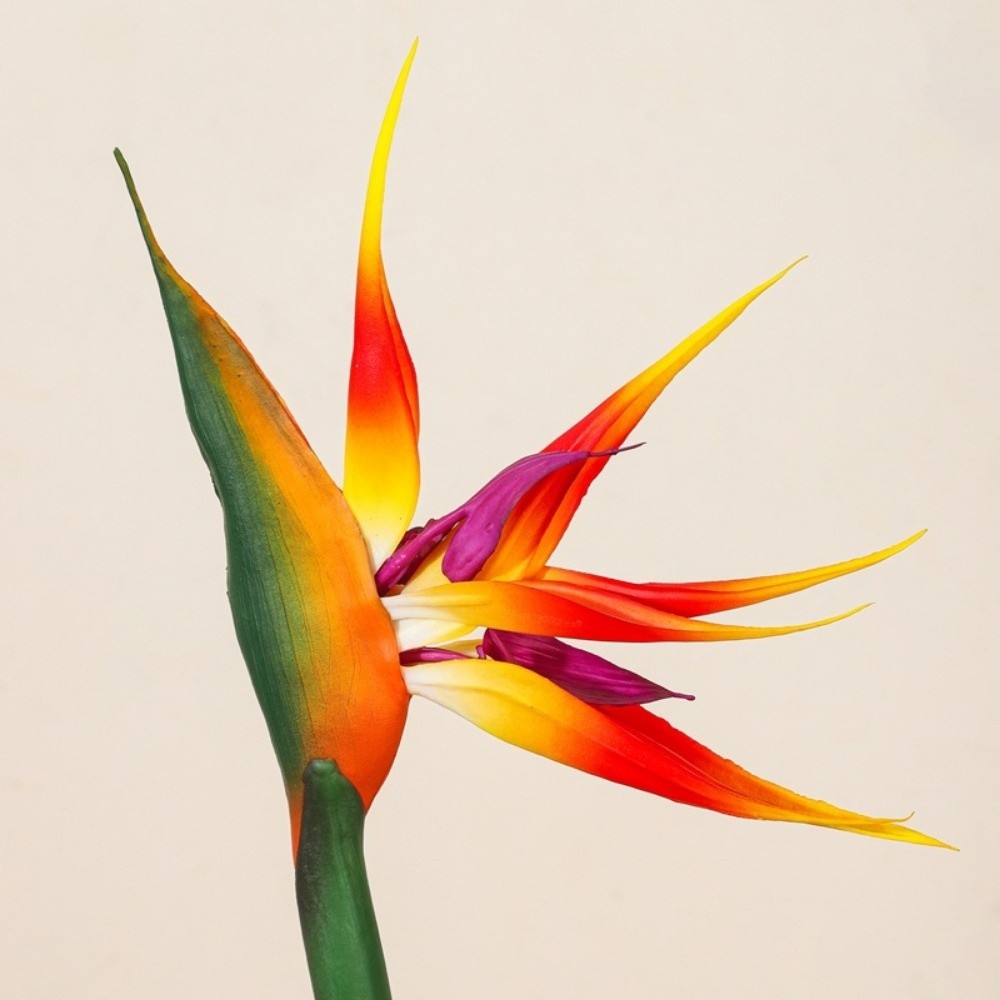 Long Stem Artificial Bird of P – Bird Paradise Strelitzia recenzja i cena