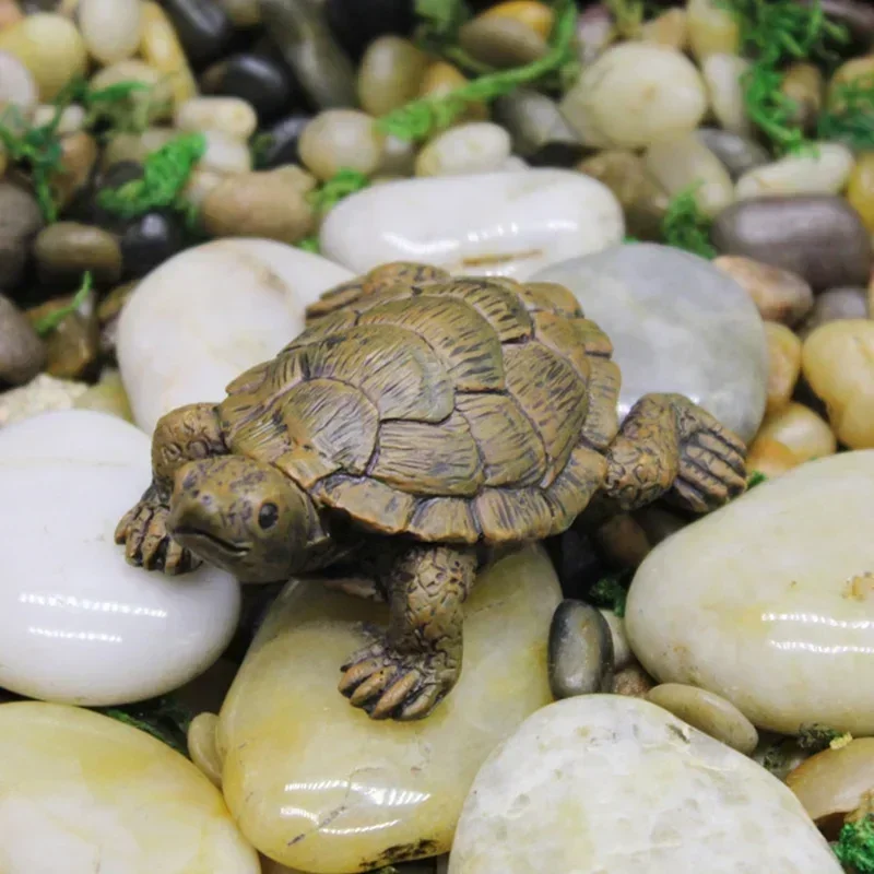 Simulation of Small Turtle Res – Echeveria Succulent recenzja i cena
