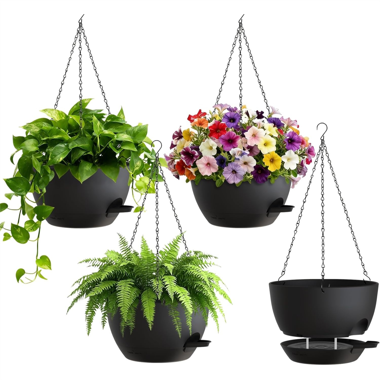 8 Inch Self Watering Hanging P – Spider Plant Hanging recenzja i cena