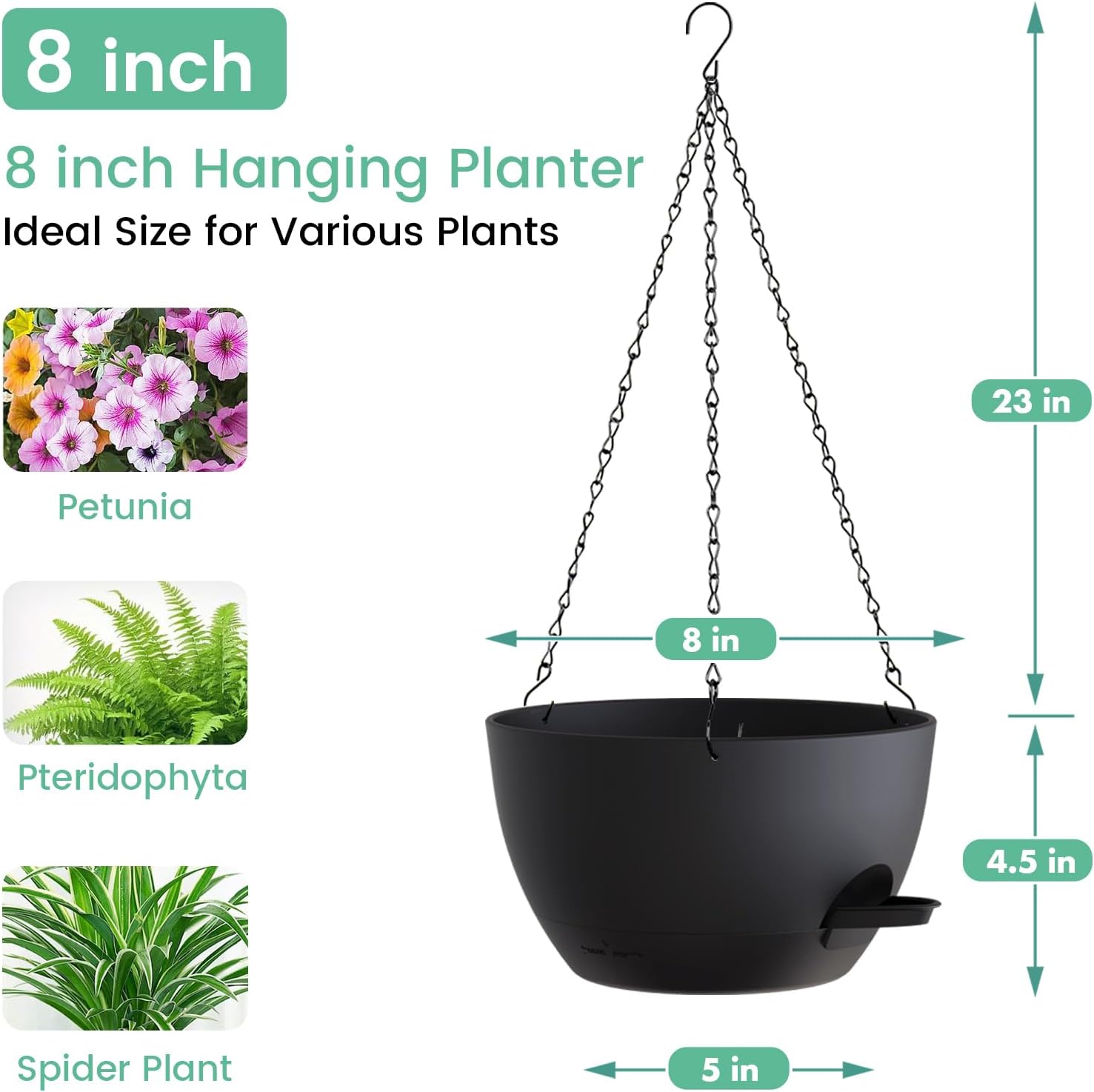8 Inch Self Watering Hanging P – Spider Plant Hanging recenzja i cena