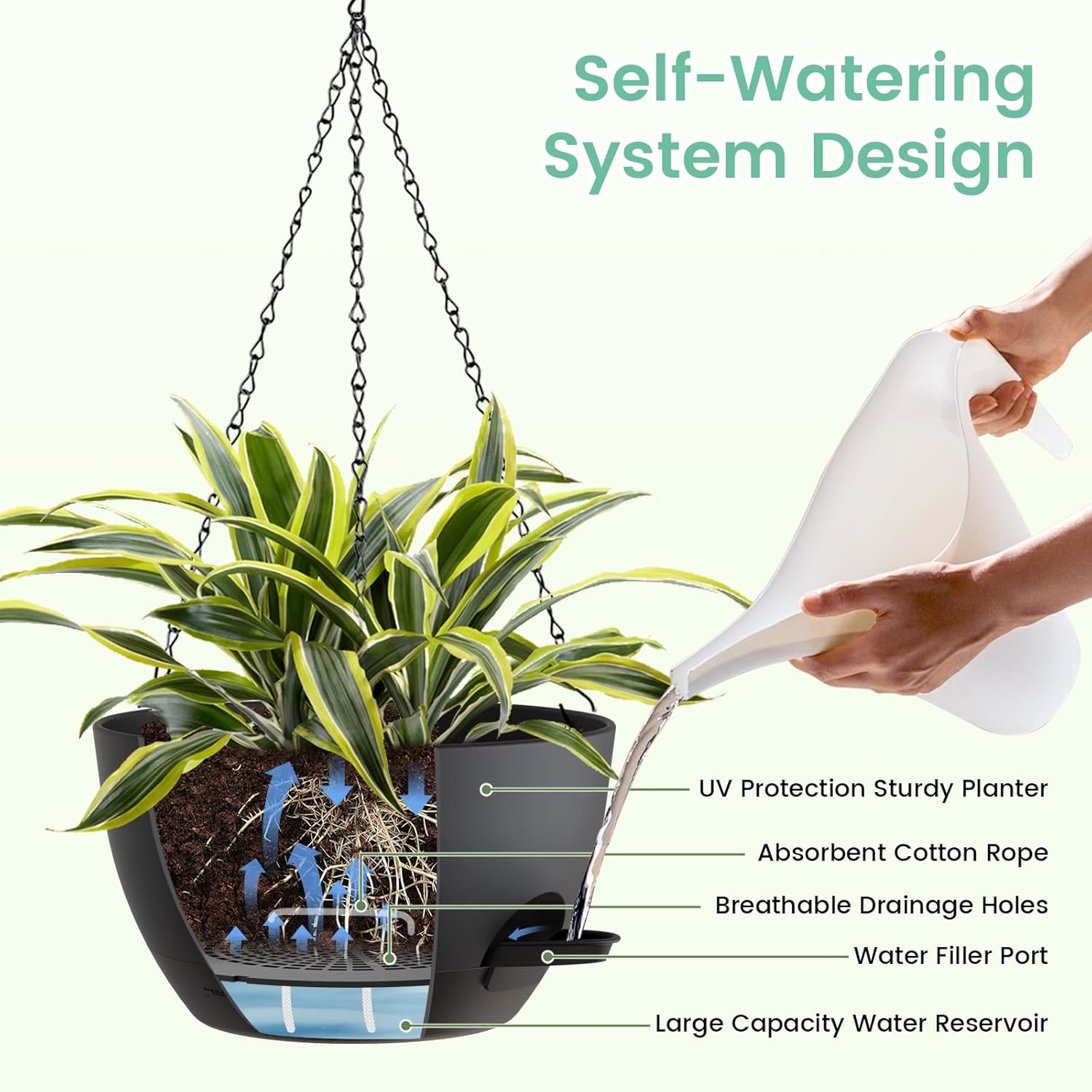 8 Inch Self Watering Hanging P – Spider Plant Hanging recenzja i cena
