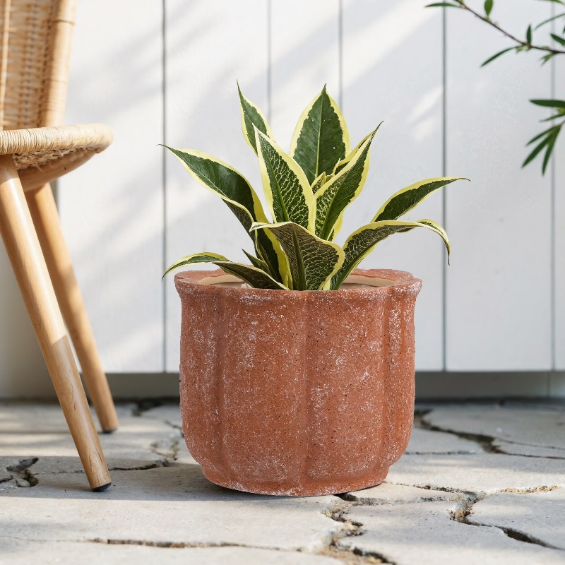 8in Terracotta Flower Planter  – Aloe Vera Pot recenzja i cena
