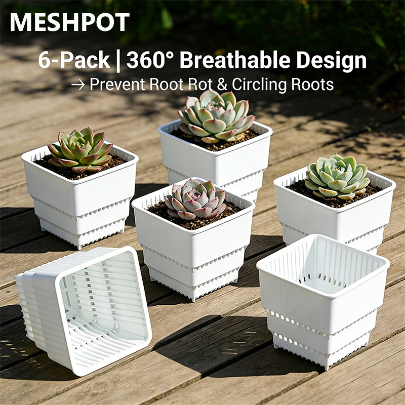MESHPOT 6-Pack Square Pots for – Echeveria Succulent recenzja i cena