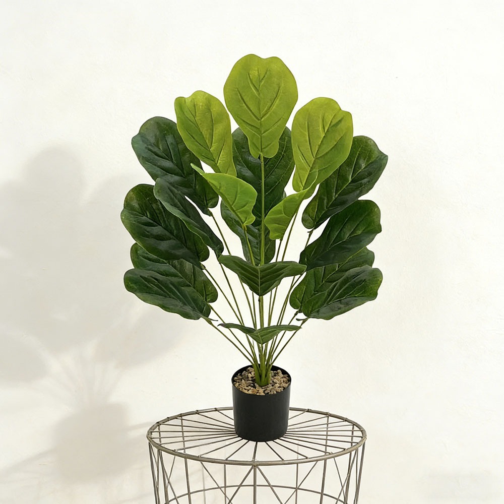 1pc of 75cm Artificial Ficus L – Ficus Lyrata Tree recenzja i cena
