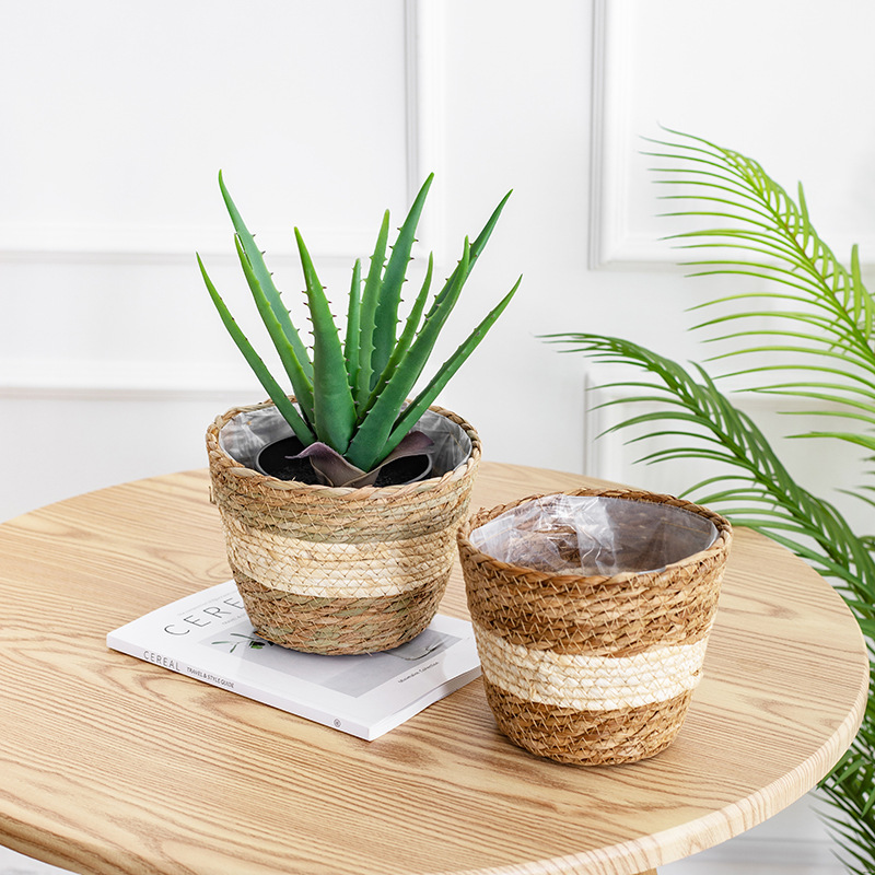 Natural Woven Flower Basket St – Aloe Vera Pot recenzja i cena