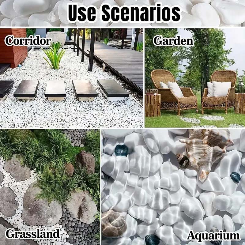 White Pebbles Decorative Stone – Echeveria Succulent recenzja i cena