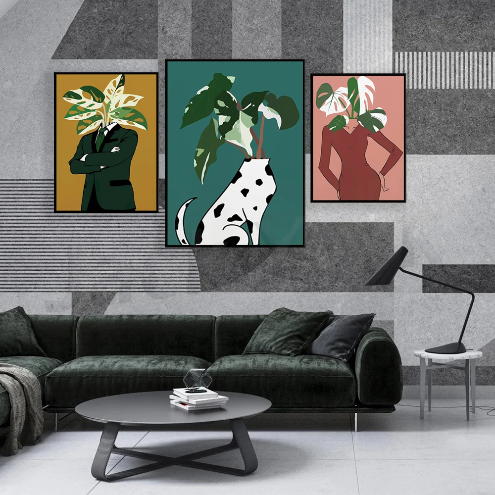 Monstera Albo in a burgundy dr – Monstera Adansonii recenzja i cena