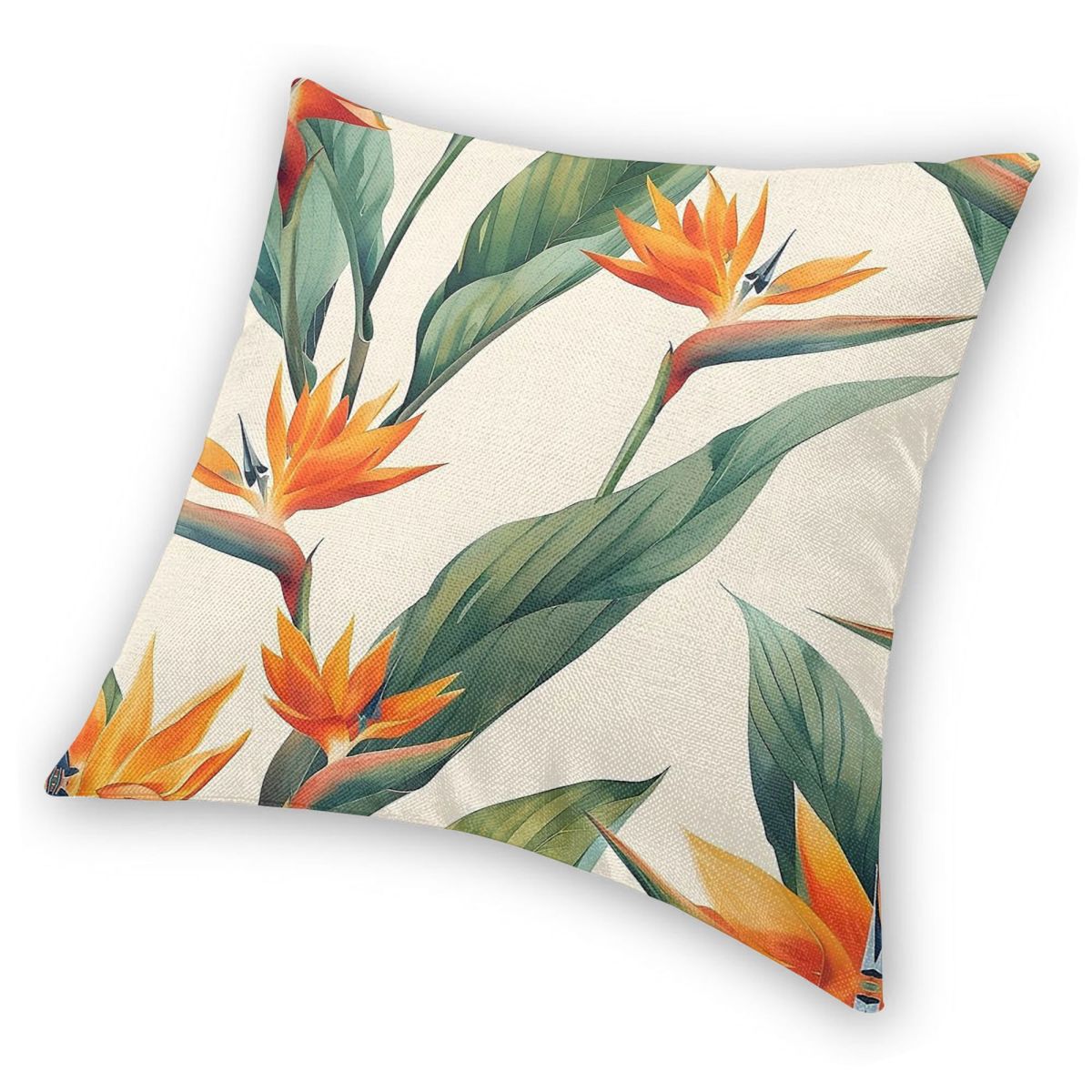Bird Of Paradise Strelitzia Sq – Bird Paradise Strelitzia recenzja i cena