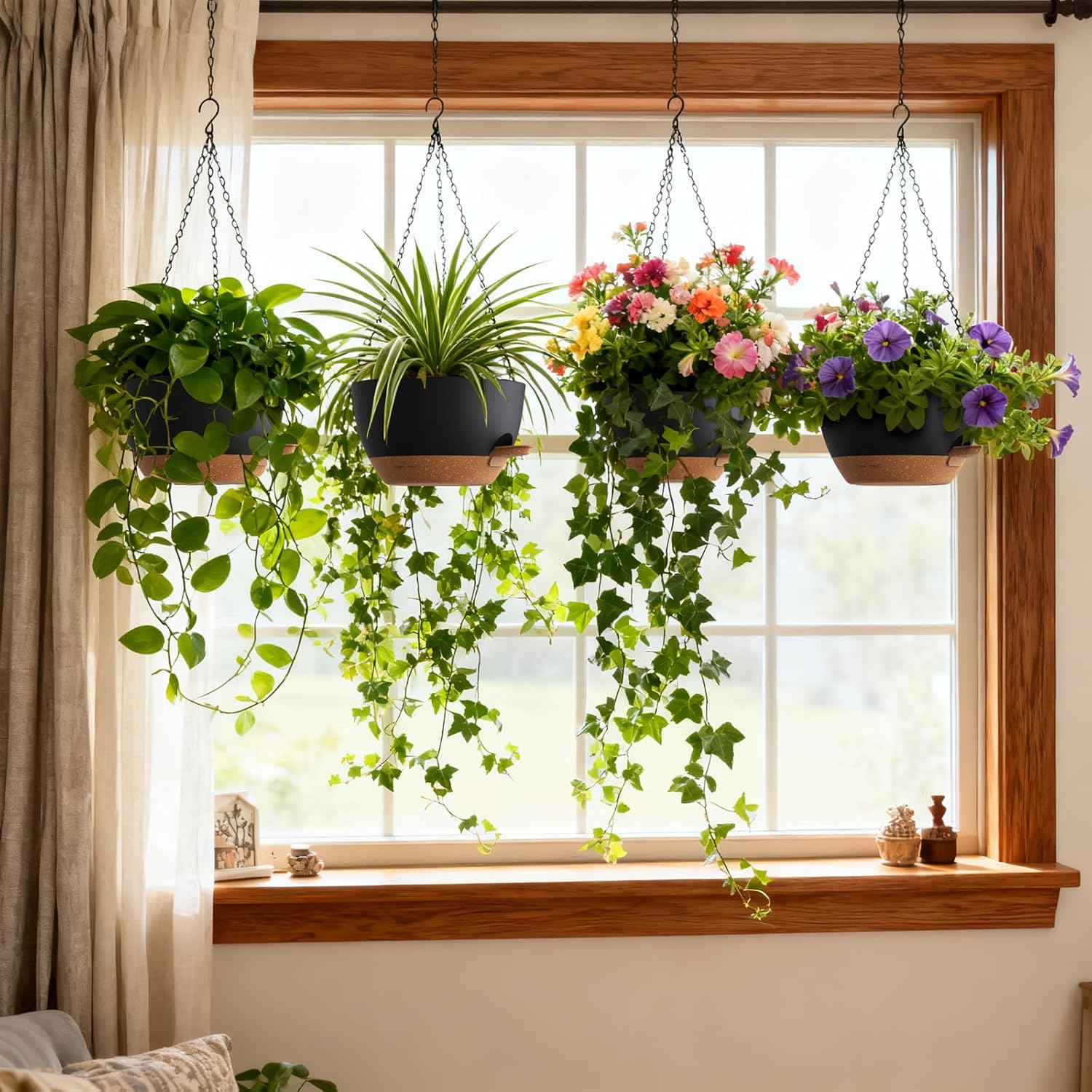 Self Watering Hanging Planters – Spider Plant Hanging recenzja i cena
