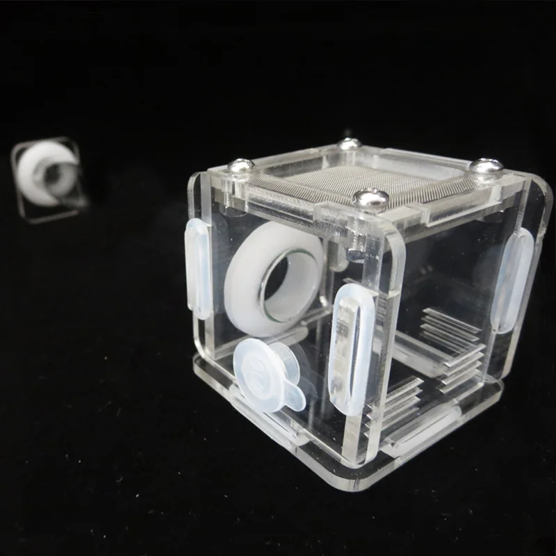 DIY Various Size Ant Farm Bamb – Begonia Rex recenzja i cena