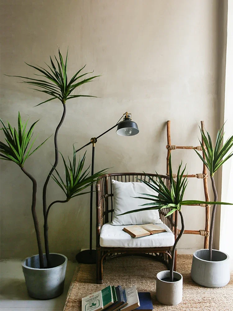 Simulation Plant Dracaena Marg – Dracaena Marginata recenzja i cena