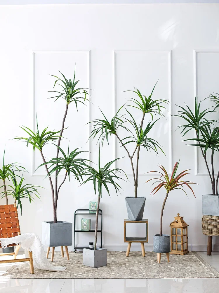 Simulation Plant Dracaena Marg – Dracaena Marginata recenzja i cena