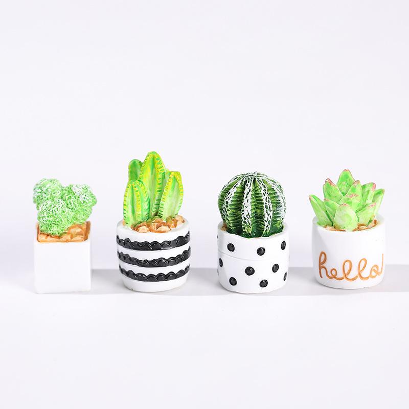 4-Piece Set of Cactus Succulen – Echeveria Succulent recenzja i cena