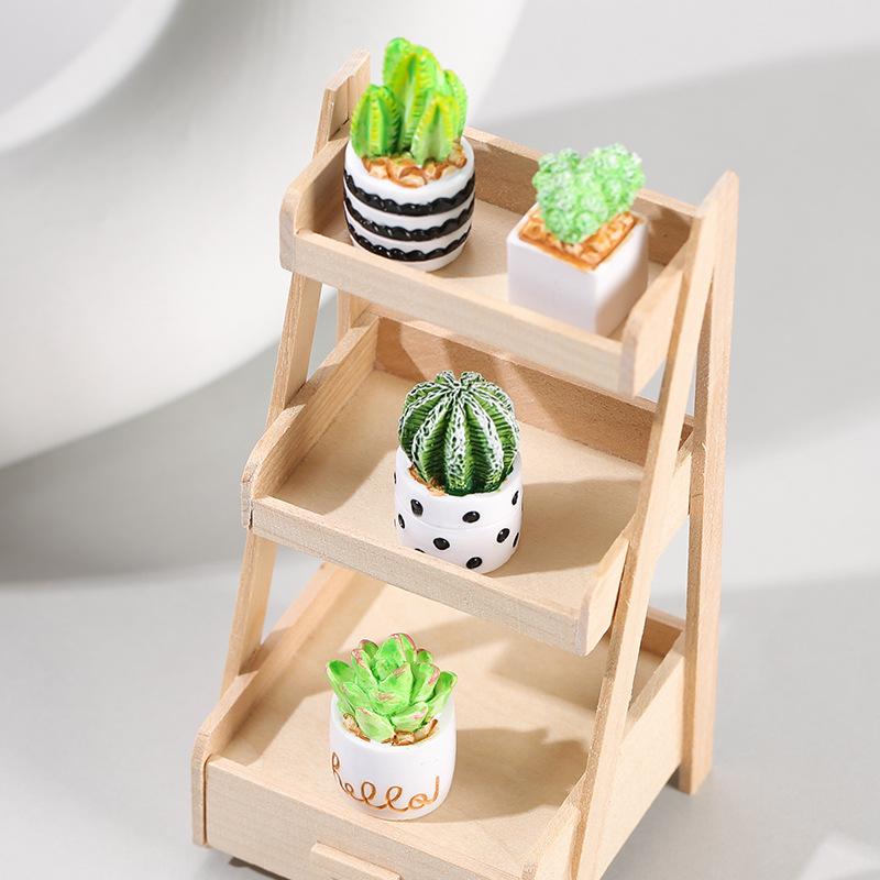 4-Piece Set of Cactus Succulen – Echeveria Succulent recenzja i cena