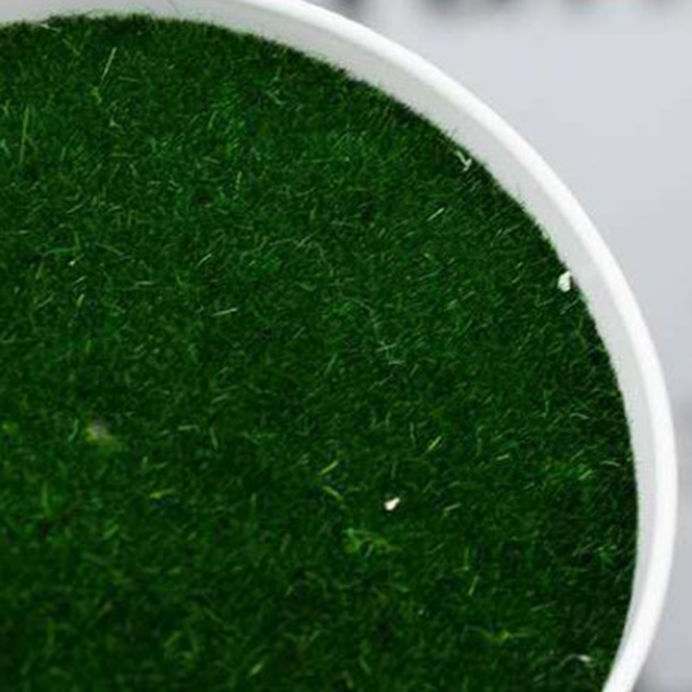 Artificial Pot Plants Pot Nurs – Aloe Vera Pot recenzja i cena