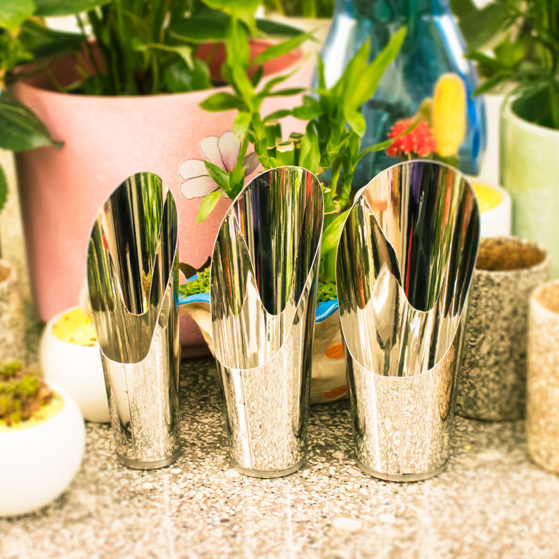 Stainless Steel Bucket Shovel  – Echeveria Succulent recenzja i cena