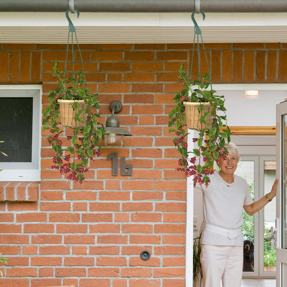 5Pcs Hanging Planter Hooks Ver – Spider Plant Hanging recenzja i cena