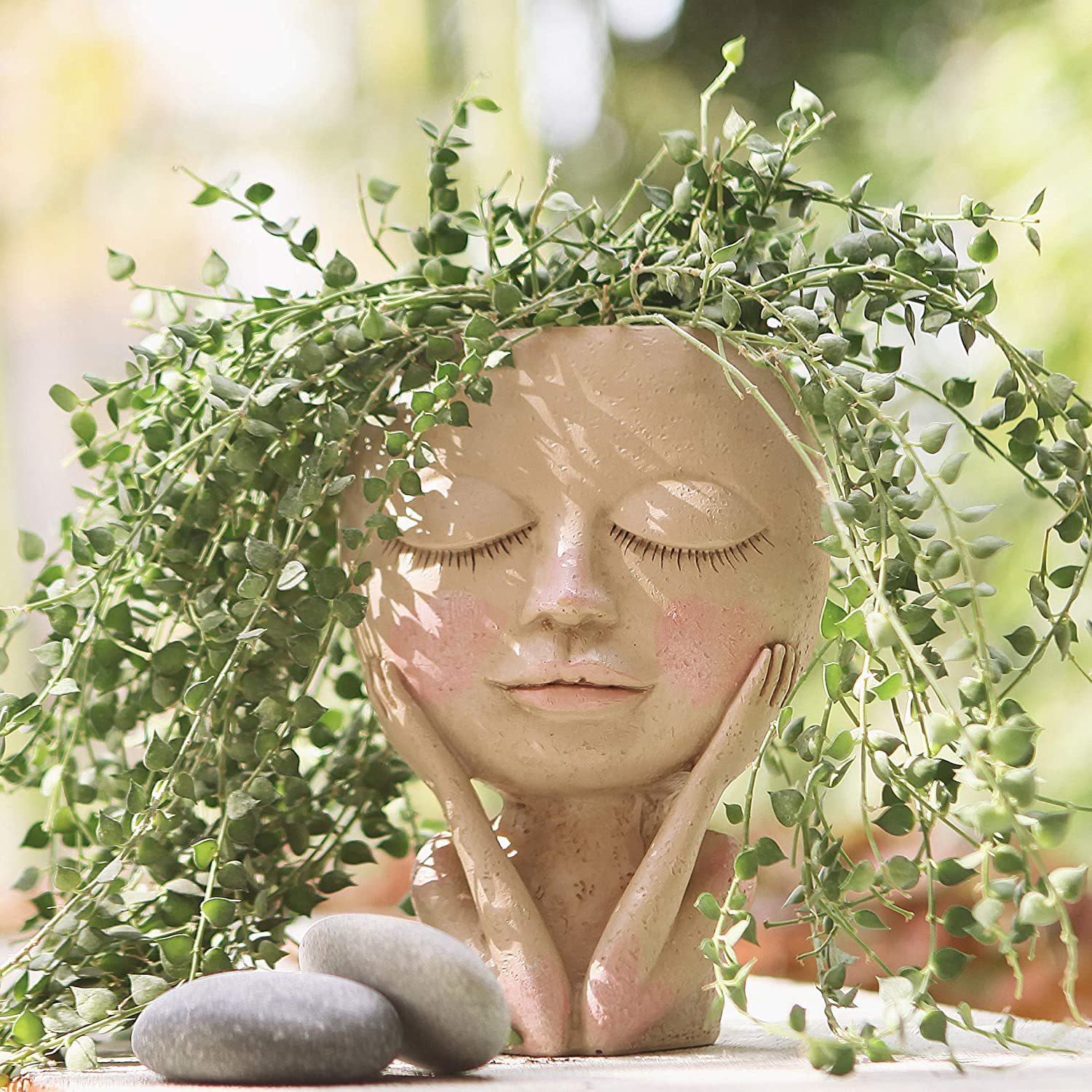Girls Face Head Flower Planter – Echeveria Succulent recenzja i cena