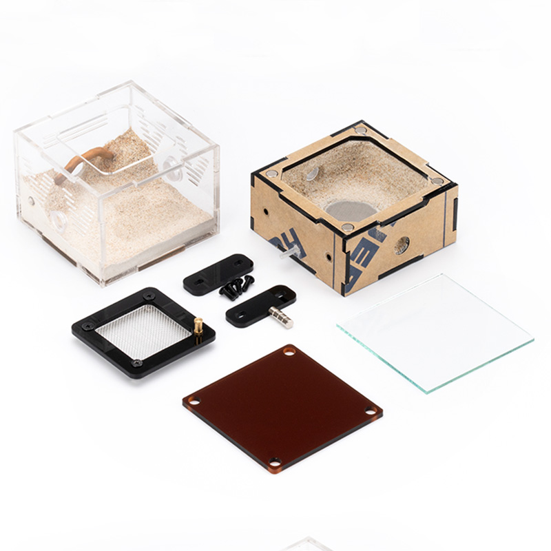 Unlimited Expansion Ant Farm H – Begonia Rex recenzja i cena